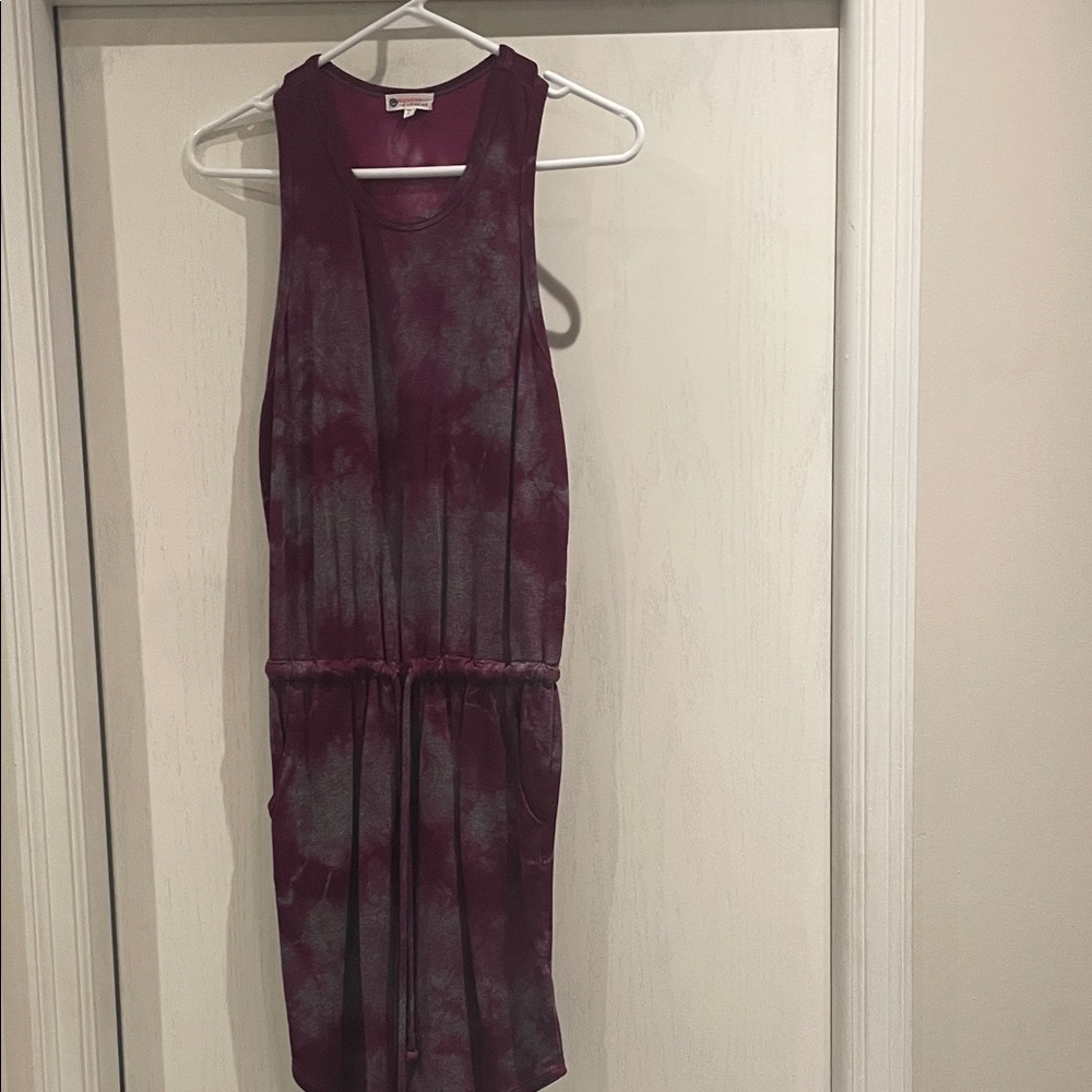 Evereve Burgundy and Gray Mini Dress